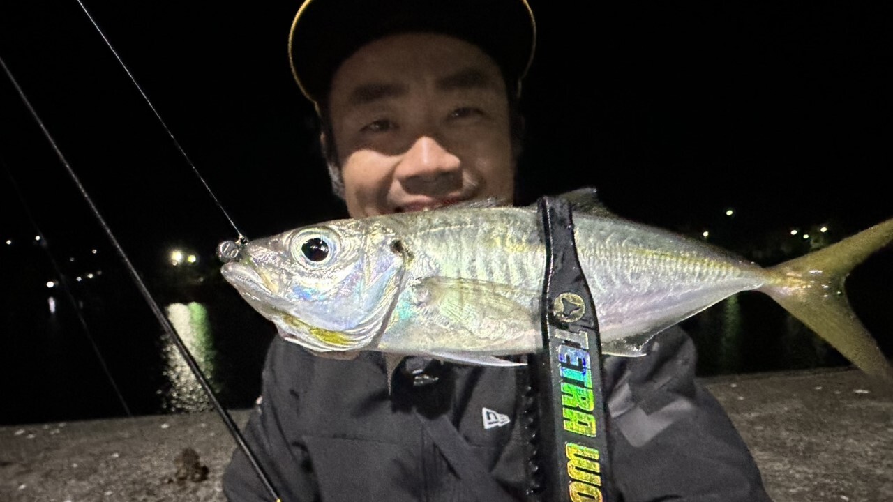 小沼正弥監修、シーバスの